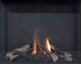 element4-bidore-100h-vlambeeld