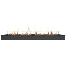 Xaralyn Bio brander XXL 11814